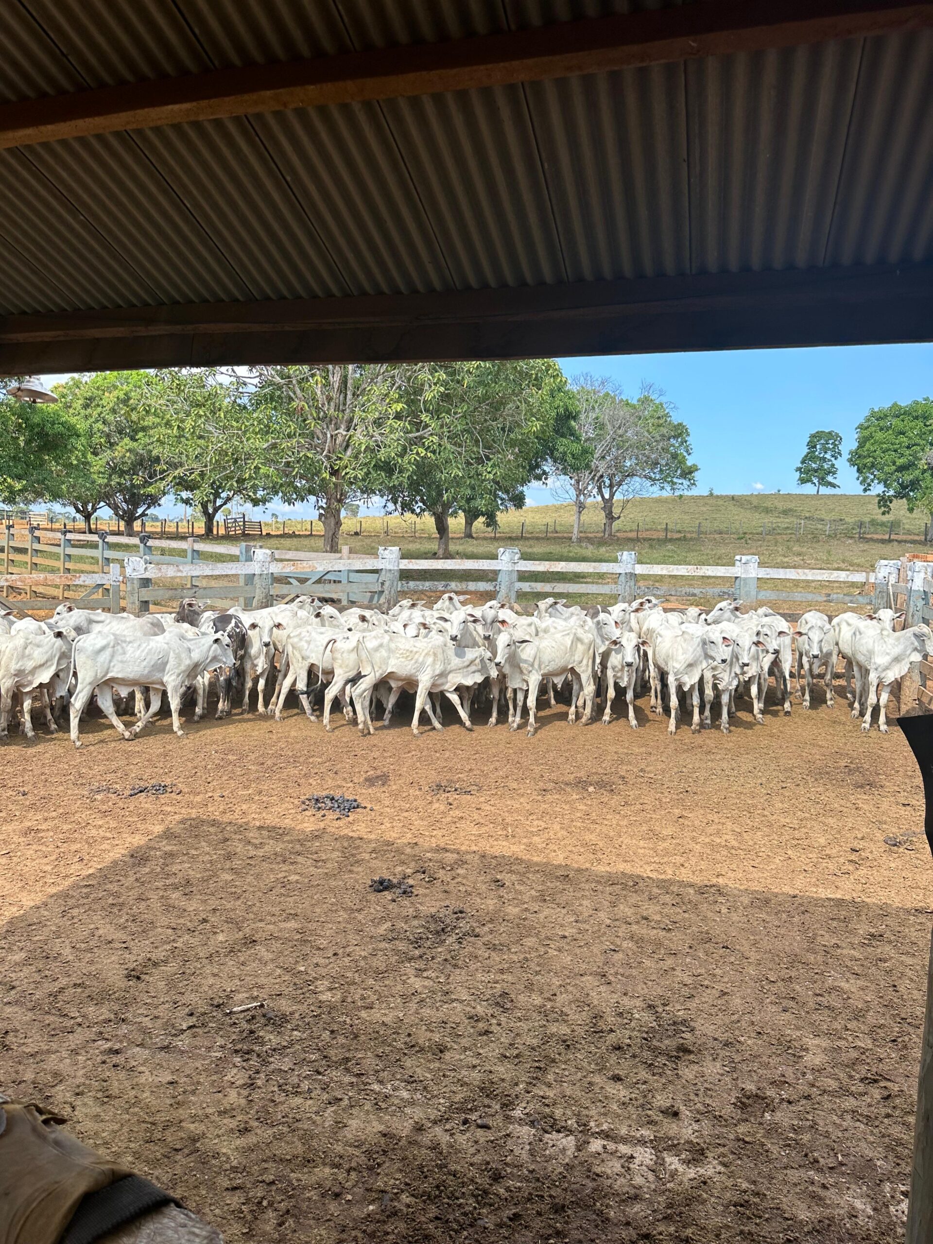 037ca6ee-7350-4c23-88ac-2e8b2a424f3b