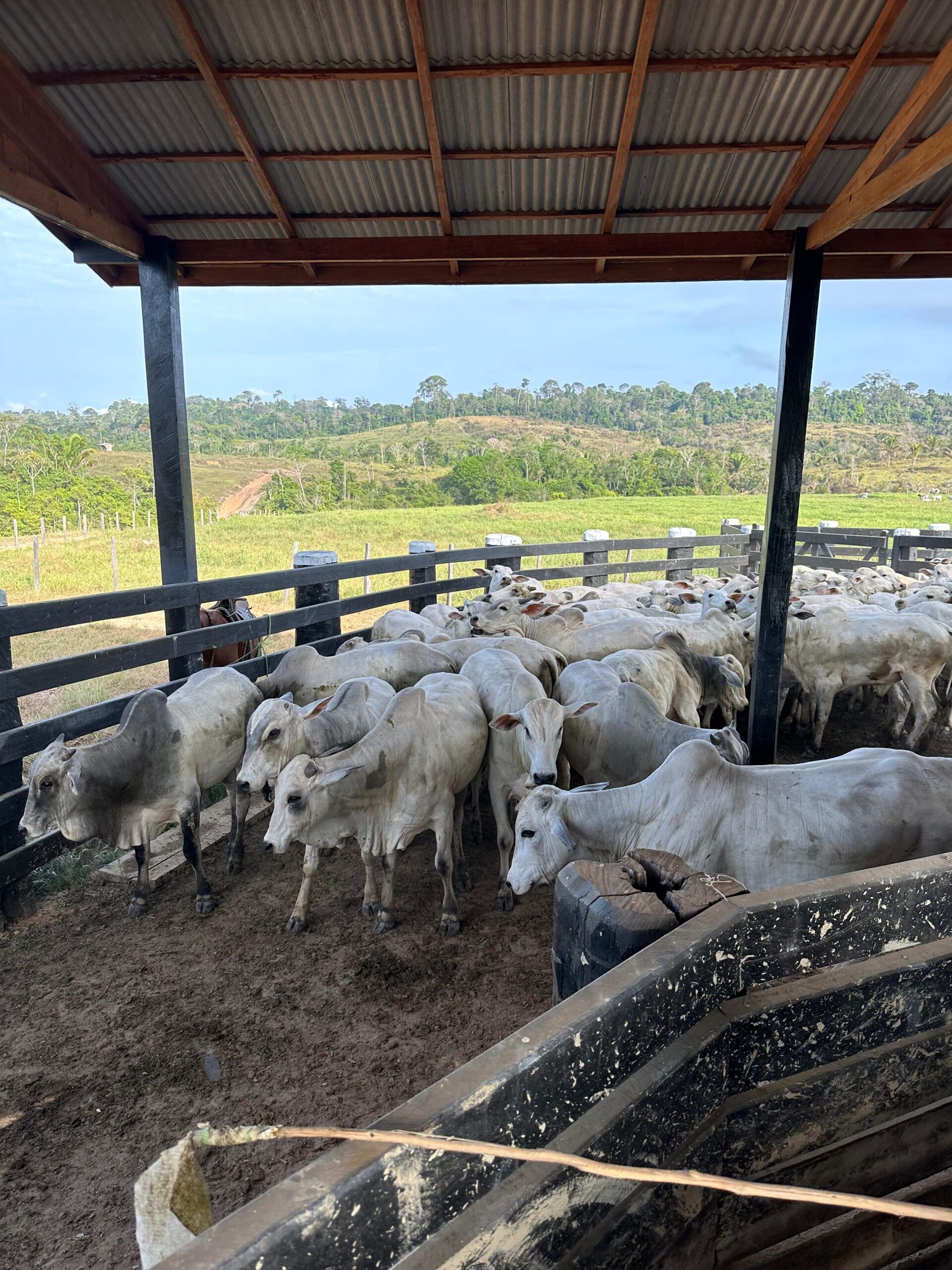 08f04115-2148-4520-83f6-efc2409a4b43