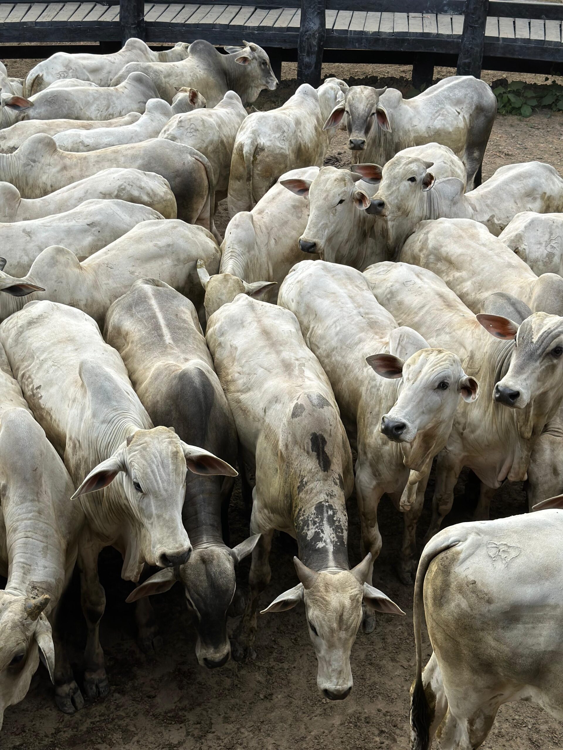 174f65bb-bd6d-4417-b0f4-a0d53292d7bc