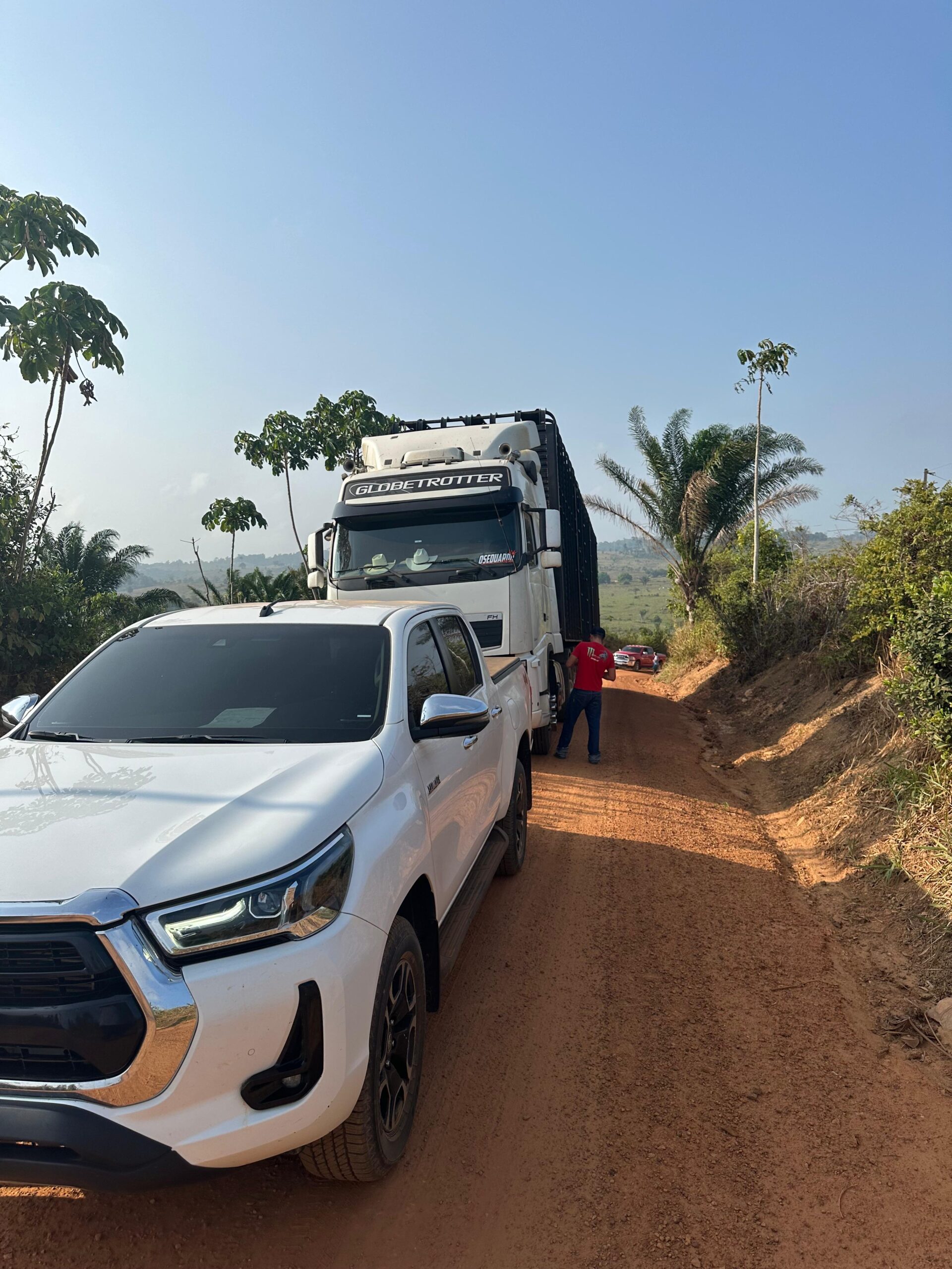 2ec1b0a3-d9ff-4eb8-adae-1bfb564e7ab6