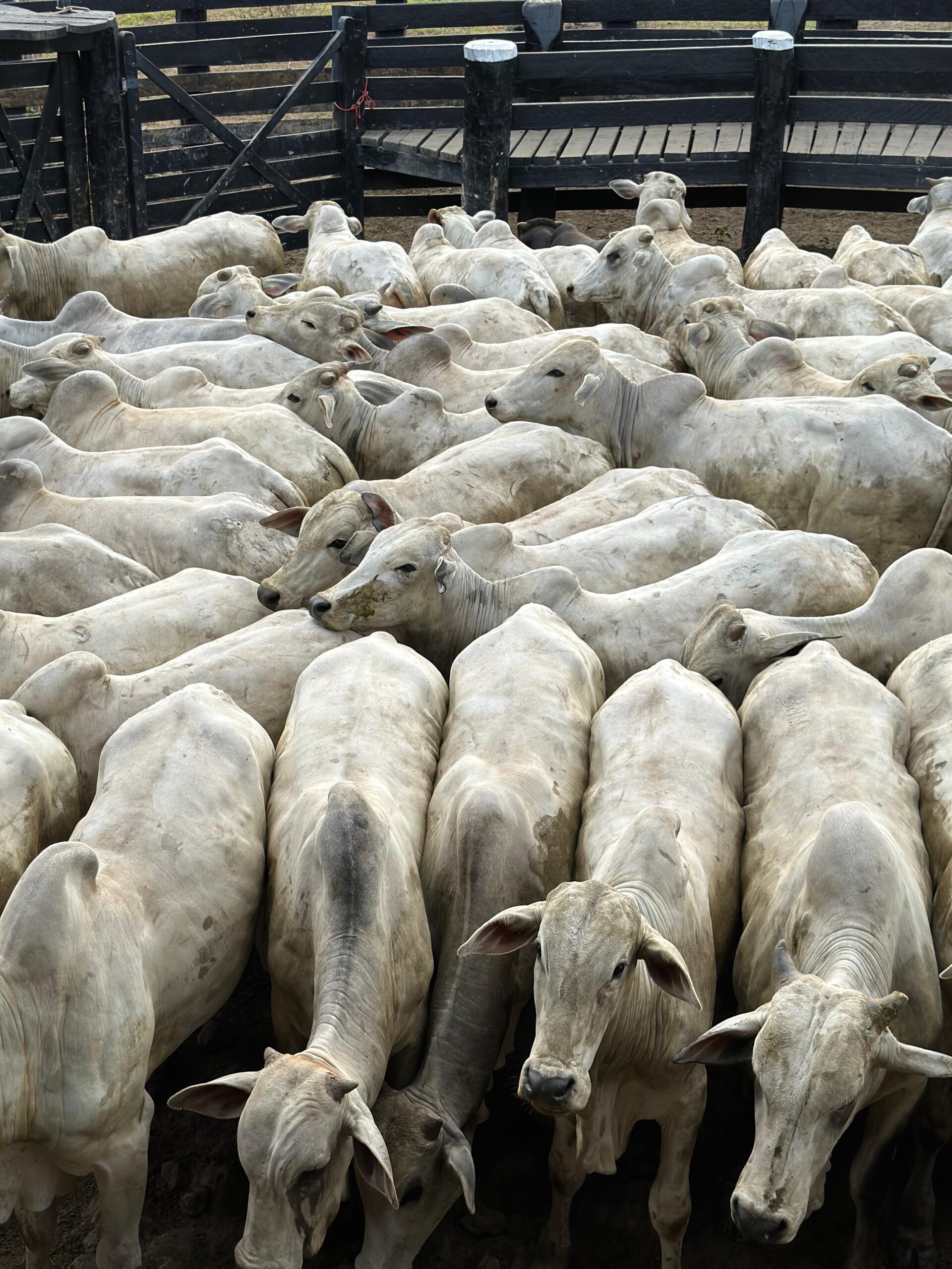 3c02f964-760e-434e-abf9-cdf862207408