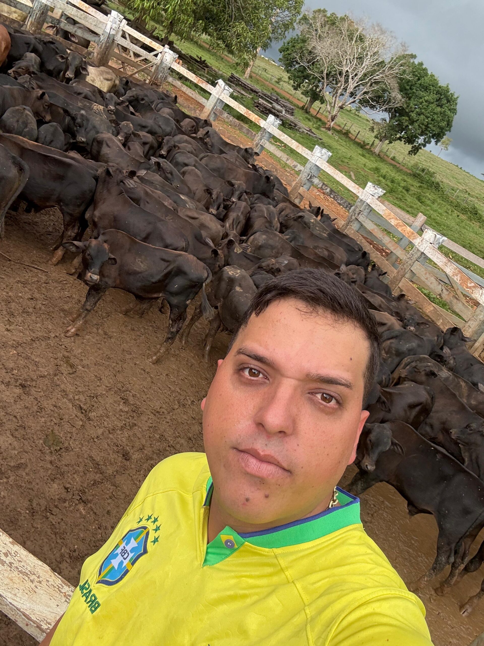 49b0d2f1-42d5-4abb-8f5e-829e6dec1810