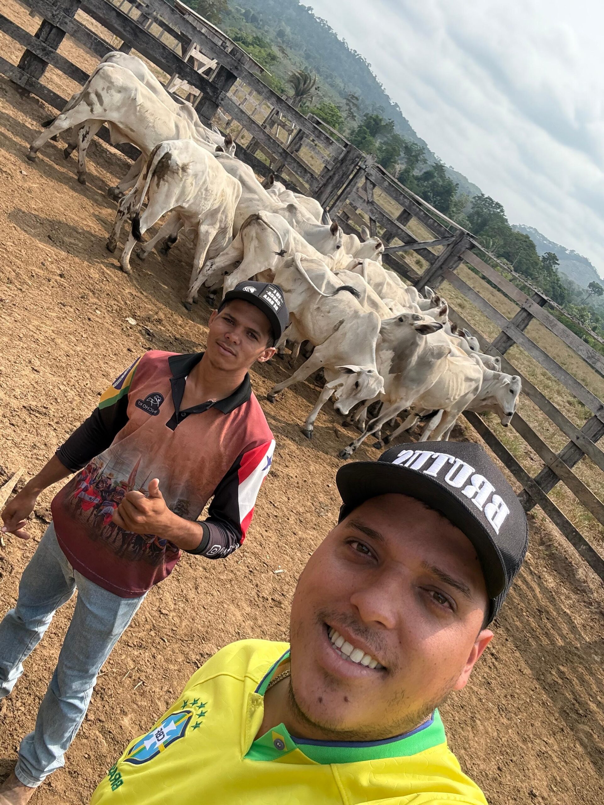 5fe0e89d-0034-48b7-960d-1065c78de658