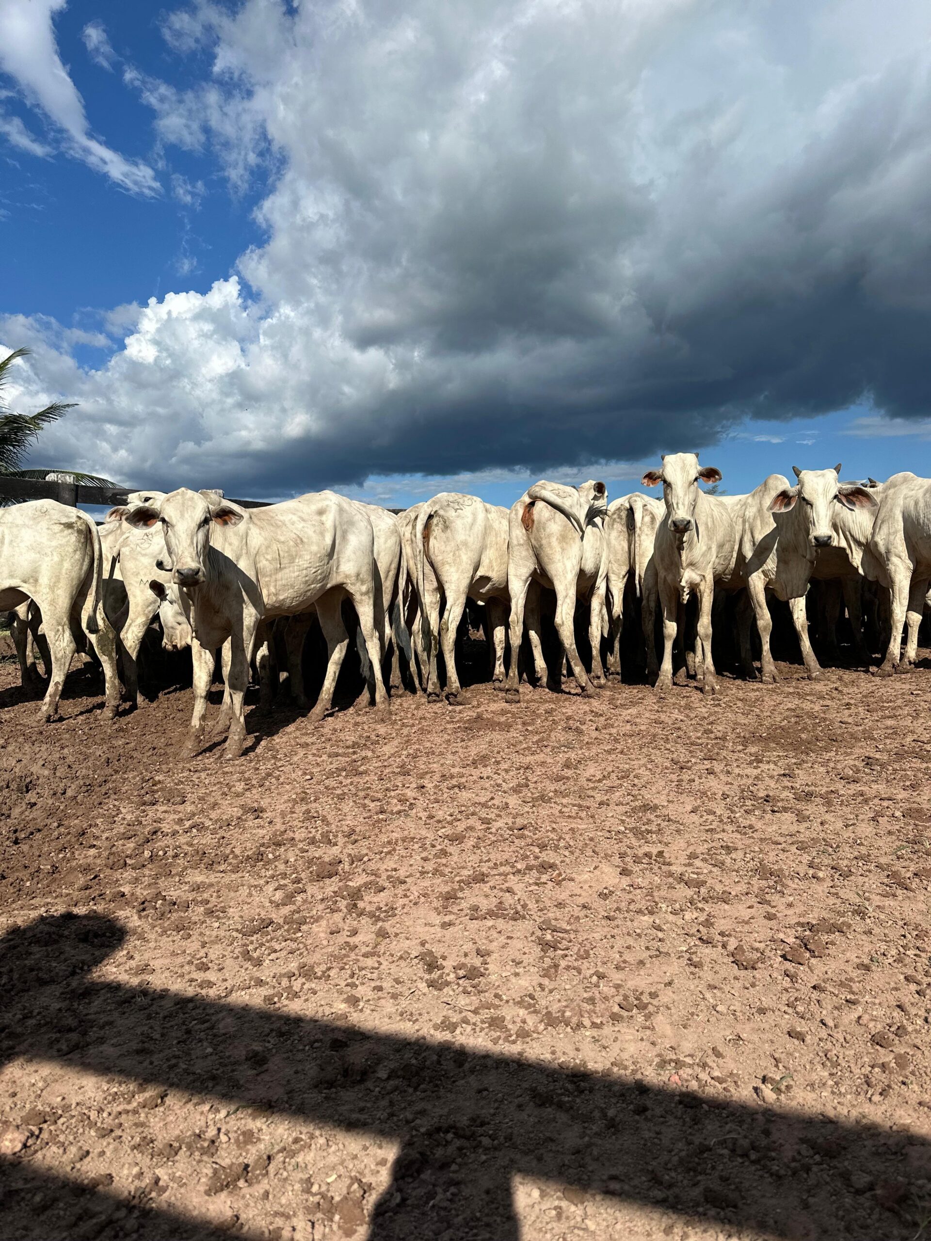 6df8c1b4-5aa4-4f2c-bca1-6b7be49dedeb