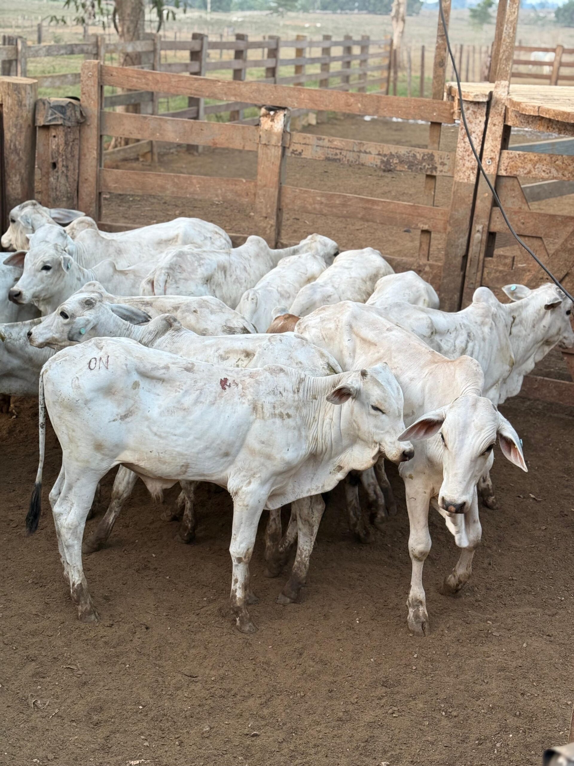 76b98a35-1e56-4103-9d2f-d7e99557e7ab