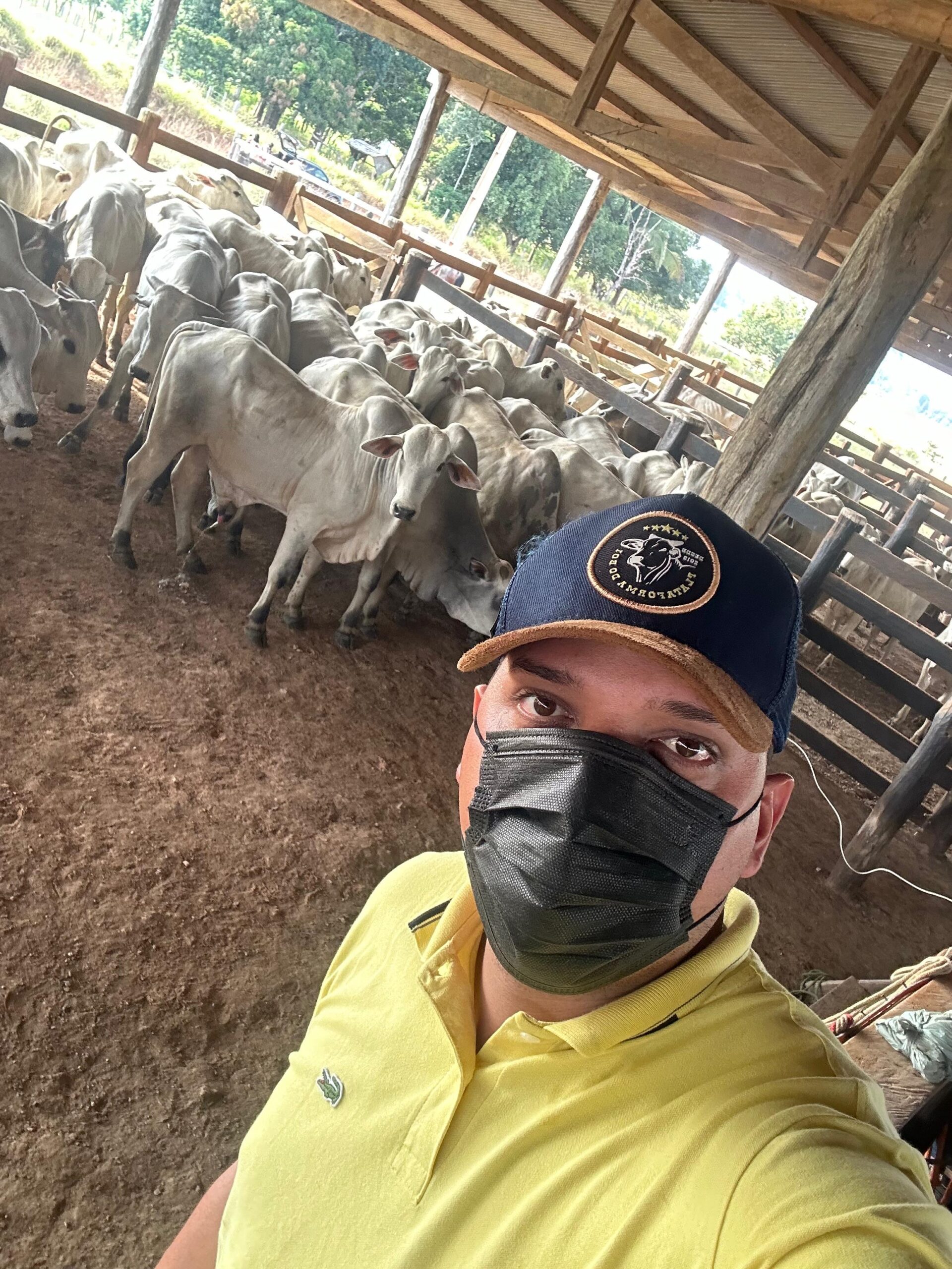 7b33f9a0-8a91-49ca-b49e-e3c34a00e2df