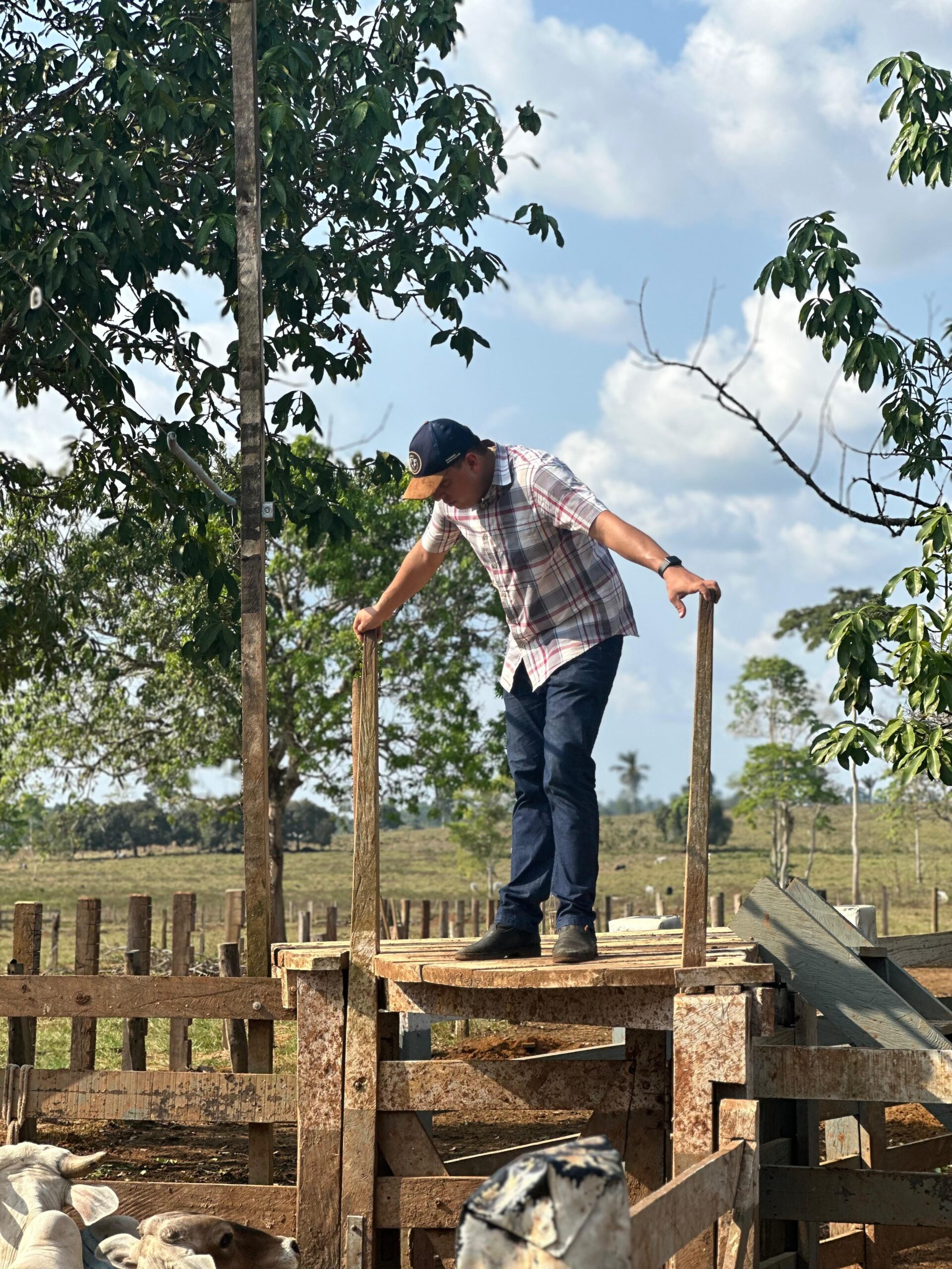 WhatsApp Image 2025-04-23 at 12.48.29