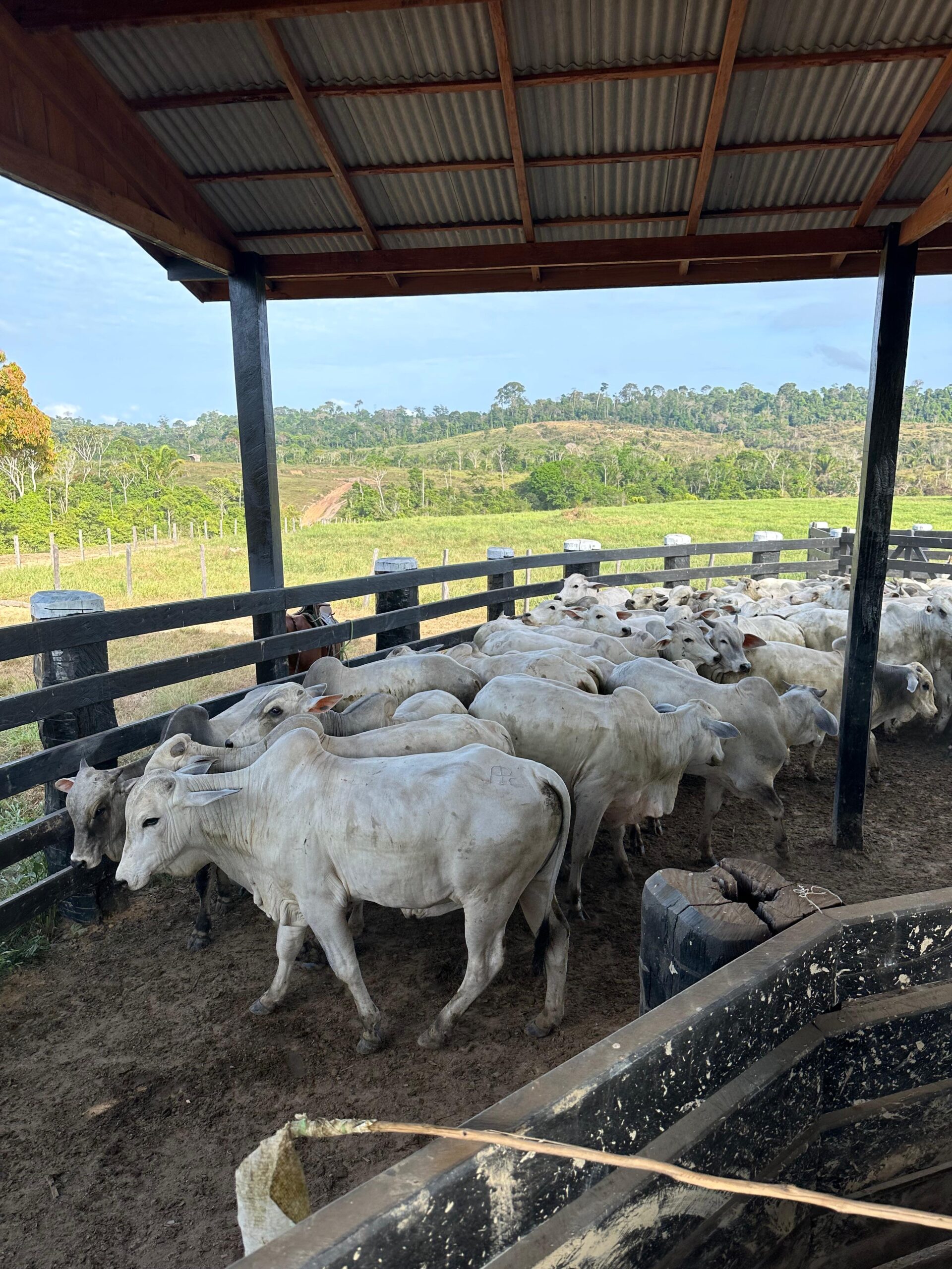 a4ee346d-0fec-4938-89bb-d67f4f4f2183