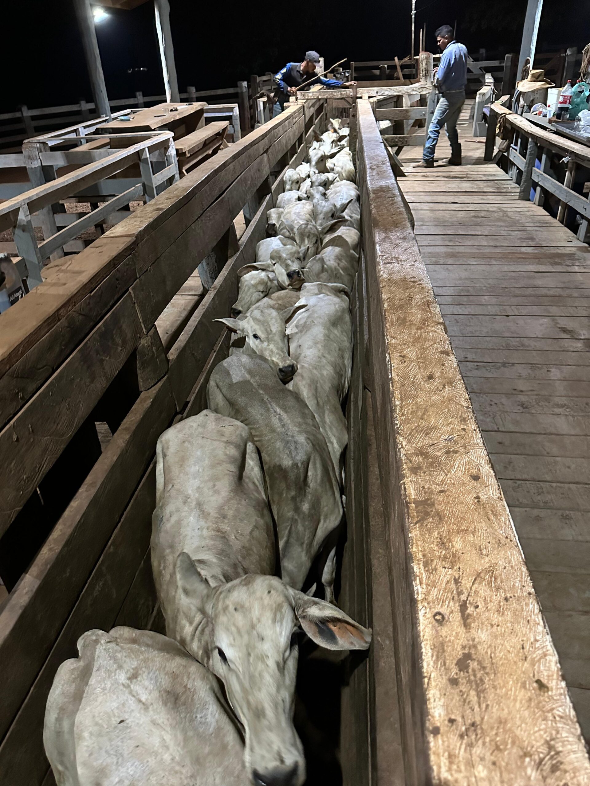 a988a7b4-7721-4e25-bb90-5730c58f6533