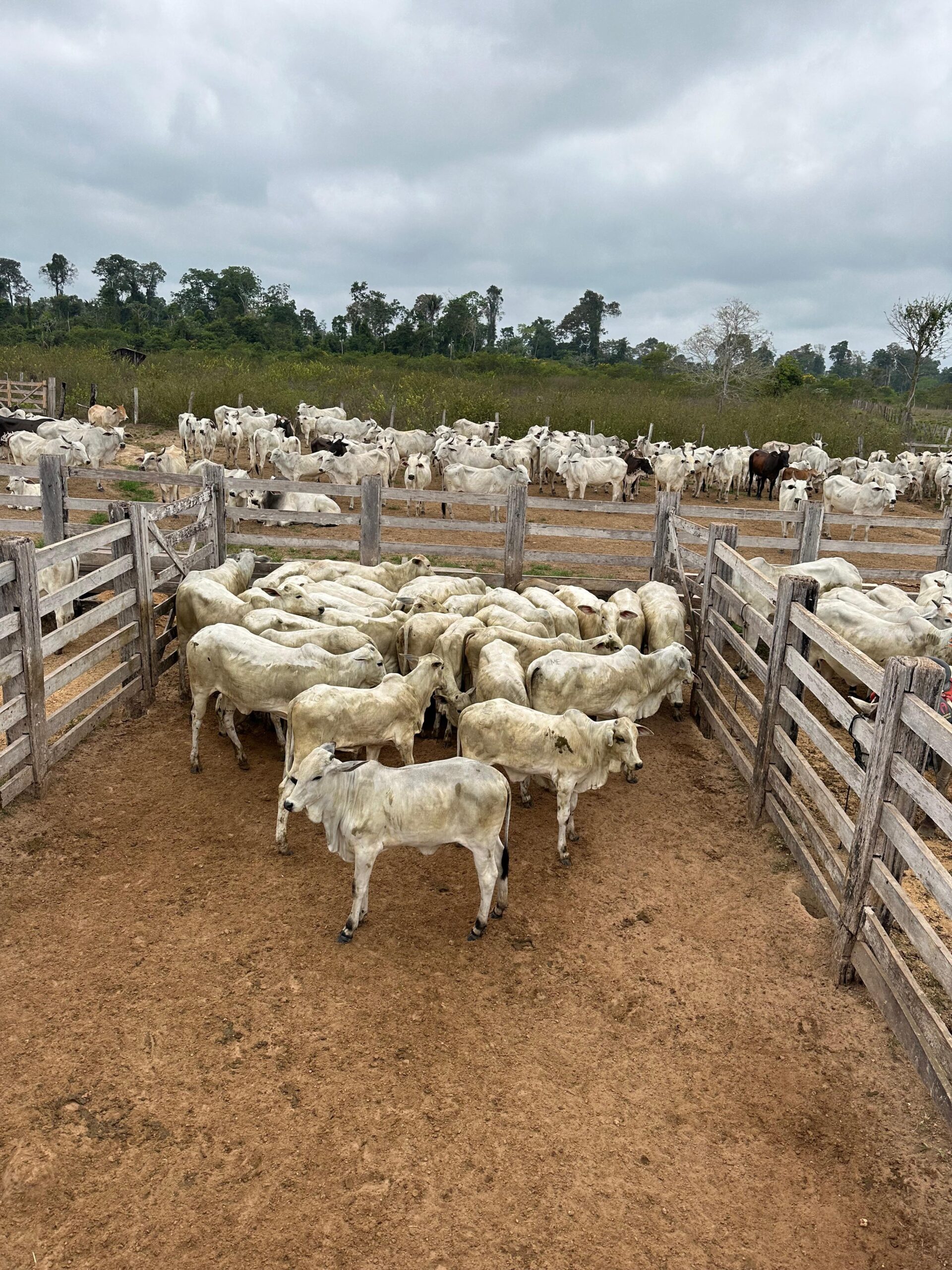 be94b2ac-4c3c-4285-bcf8-92d5638dcf77