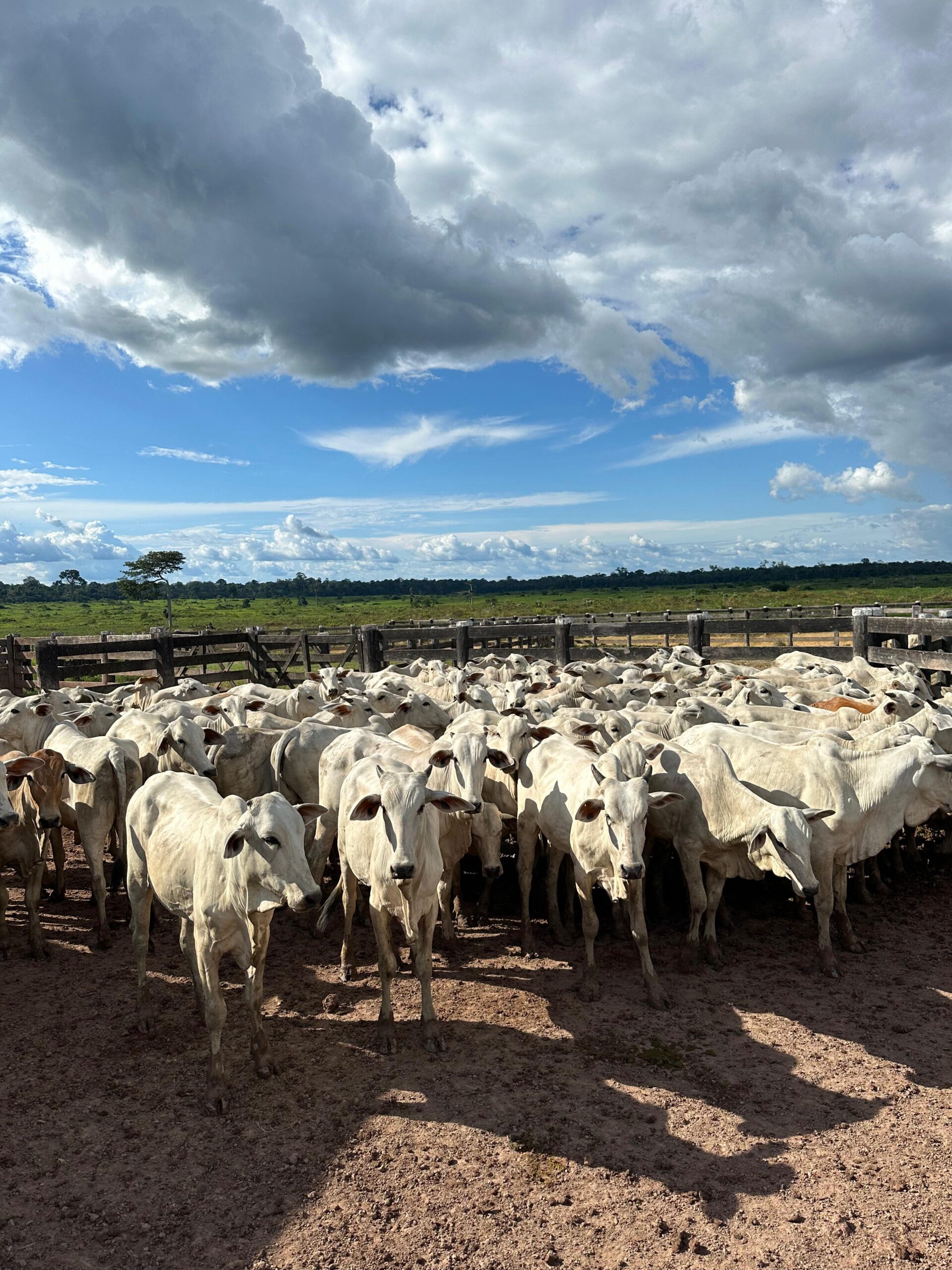 c8fd290d-d9a0-4efb-9f88-be7dc767b9cf