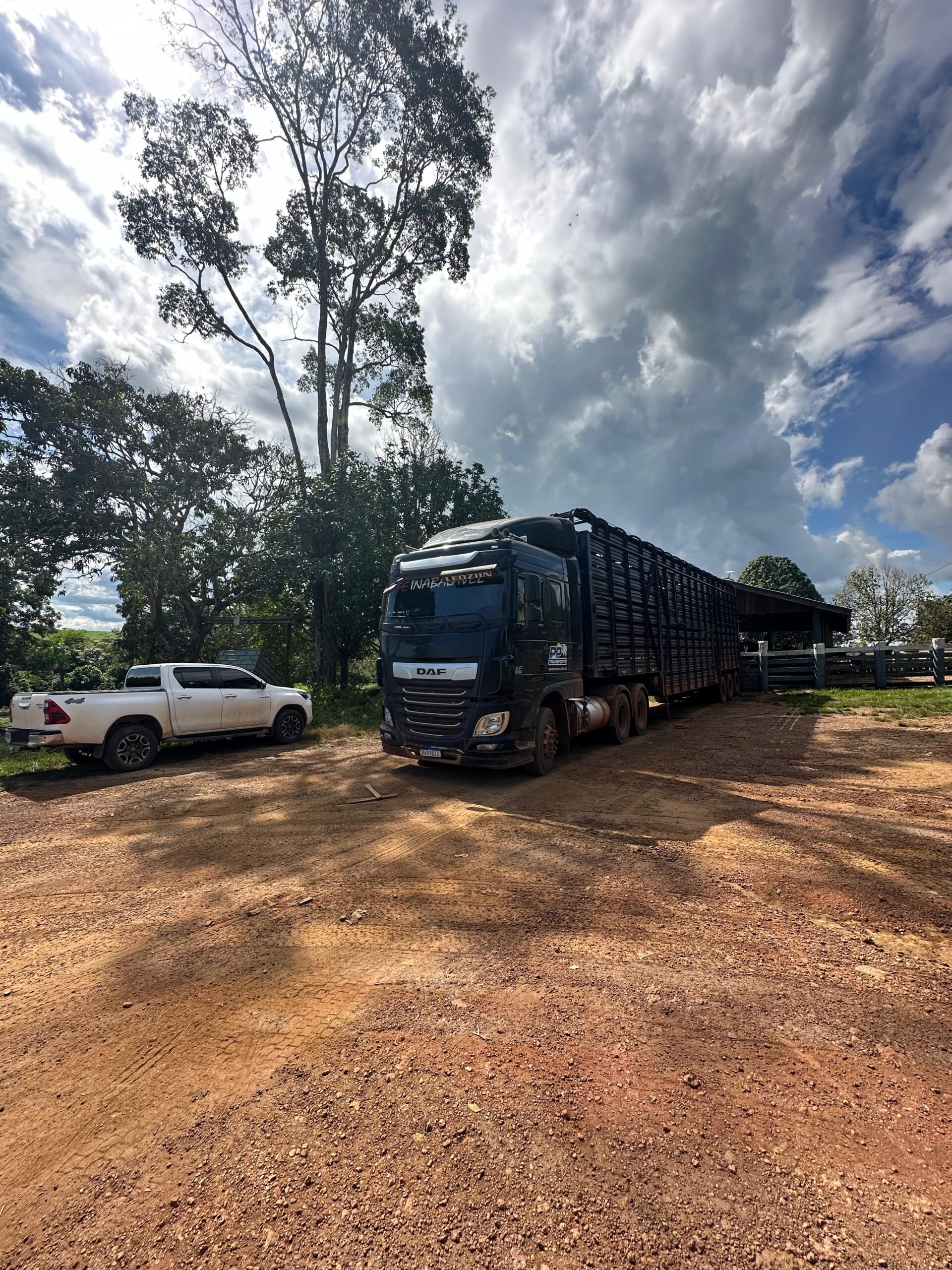 d22e50a7-7054-45dd-8c58-ea0f274066ae