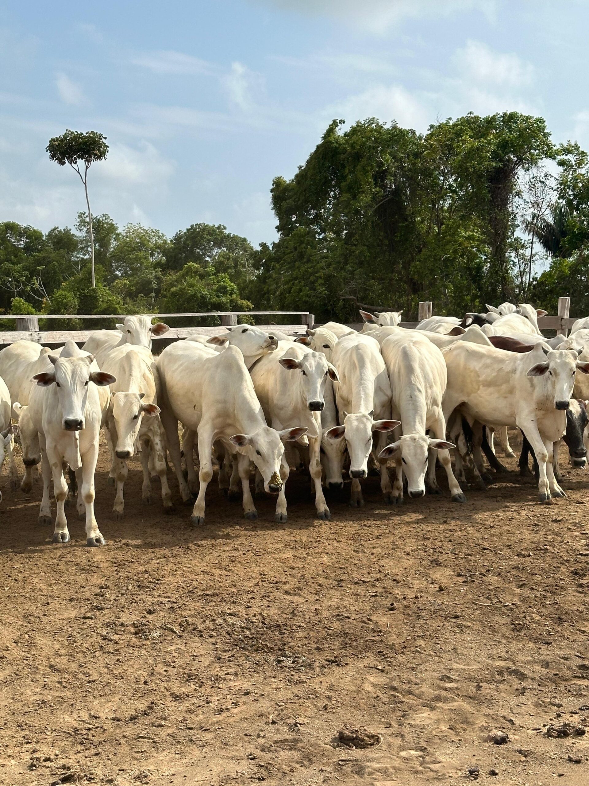 e0971579-ecb2-473f-9c8b-165ea9655d3c