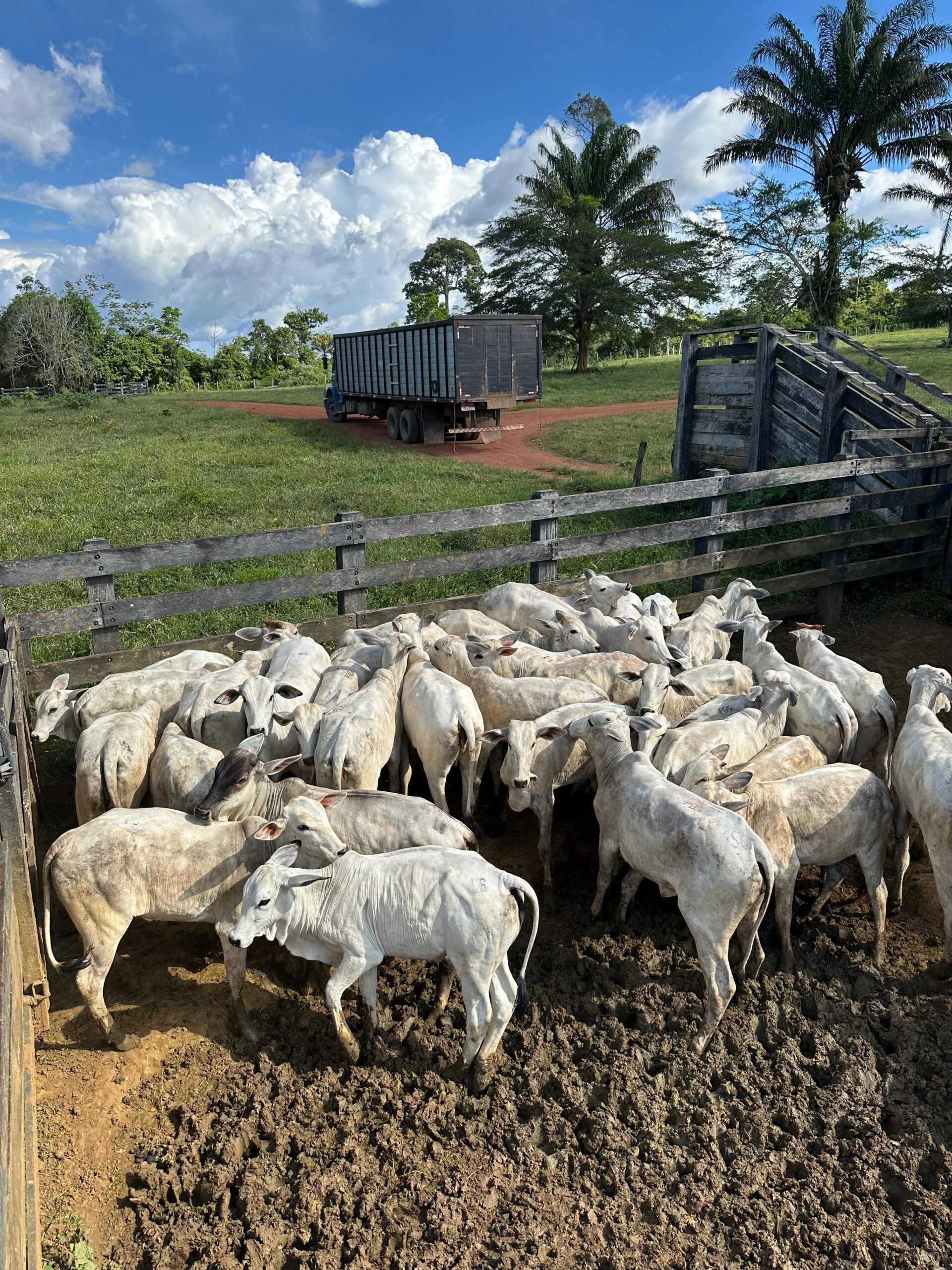 f9c78eed-e4d1-44e6-9742-a3ec6d6fe7f5