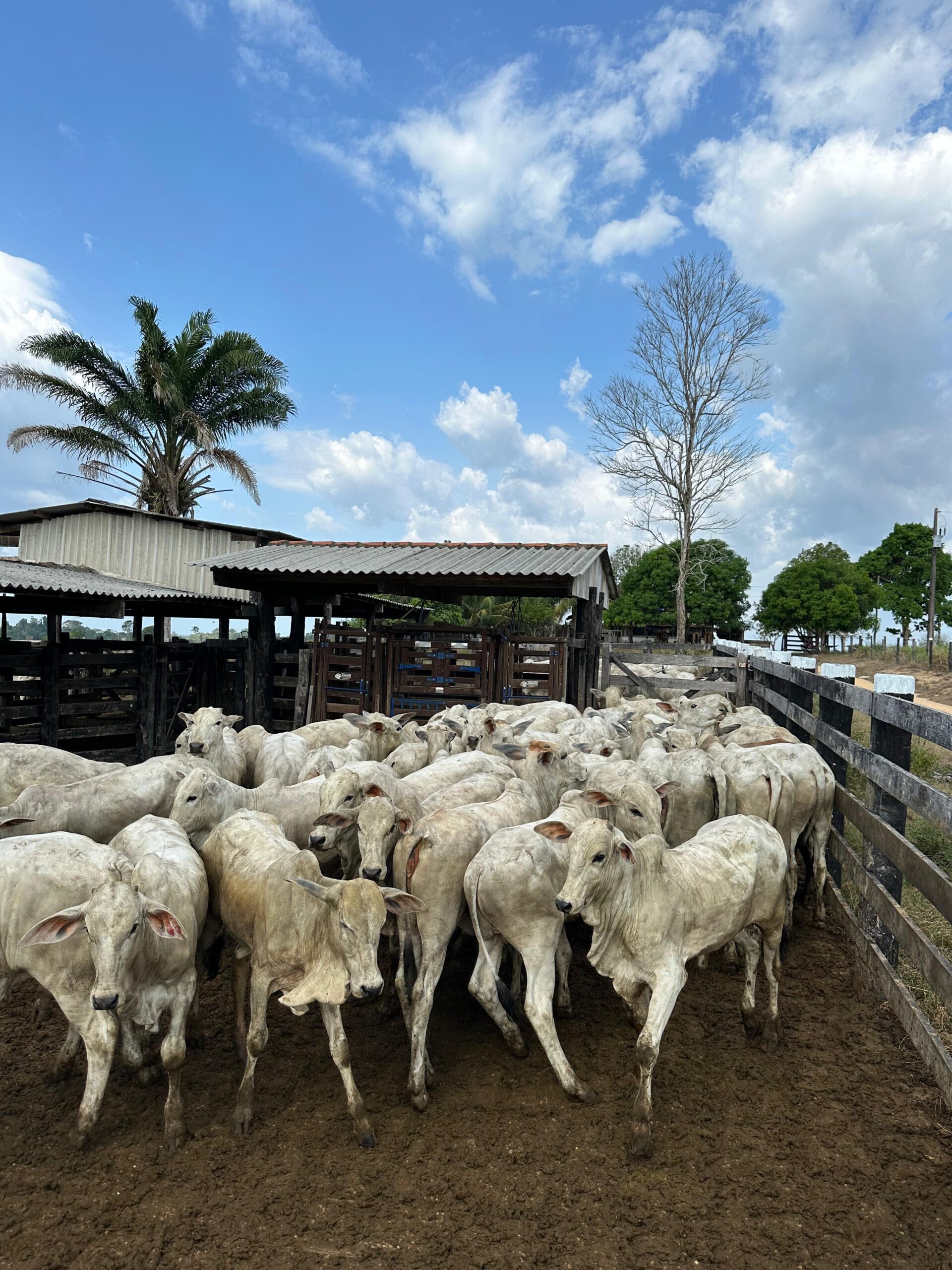 fa065ccd-7cec-4189-9630-e313eed3e192