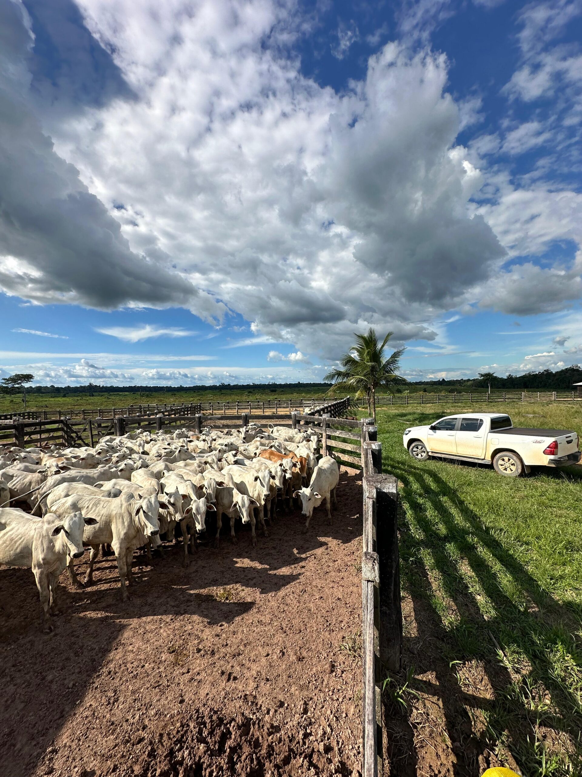 fa9978aa-ae13-4981-9116-7d3778629538