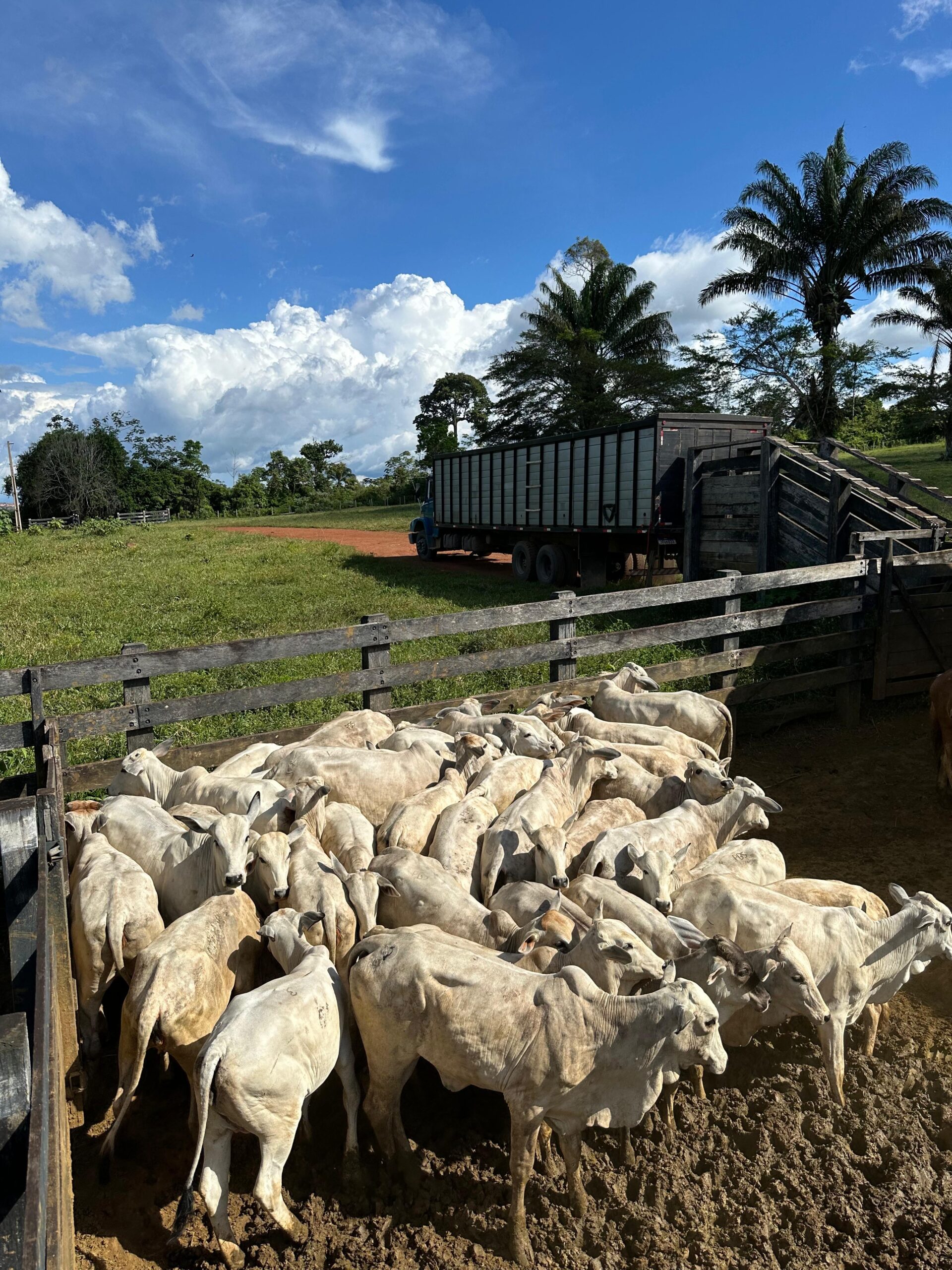 fd8e1ae0-c733-4f5d-954d-8ed64c8ddb4b